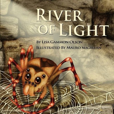 River of Light - by  Lisa Gammon Olson (Paperback)