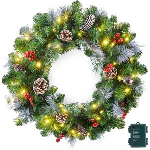 24 Inch Prelit Artificial Christmas Wreath, for Front Door with LED Lights, Pine Cones, Pine Needles, and Red Berries - 1 of 4