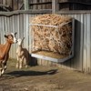 VEVOR Goat Hay Feeder, 21 Gallons Large Capacity, 2 in 1 Hay and Grain Feeder, Wall Mounted Livestock Feeder with Feed Tray - 2 of 4