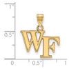 Black Bow Jewelry 14k Yellow Gold Wake Forest Demon Deacons NCAA Small Pendant - 2 of 3