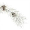 Flocked Long Needle Pine Garland 48"L - 3 of 3