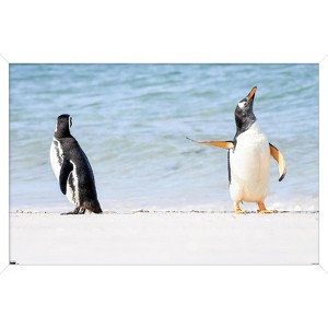 Trends International The Comedy Wildlife Photography Awards: Jennifer Hadley - Talk To The Fin Framed Wall Poster Prints - 1 of 4