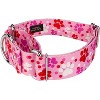 Country Brook Petz 1 1/2 Inch Martingale Dog Collar - Affection Collection - 4 of 4