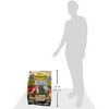 Higgins Vita Seed Indoor Pet Bird Canary Food For Birds, 25lb - 4 of 4