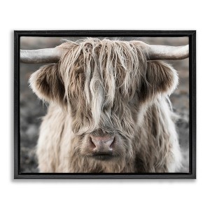Stupell Industries Detailed Highlands Cattle Rural Farm Photography Black Floater Framed Canvas Wall Art - 1 of 4