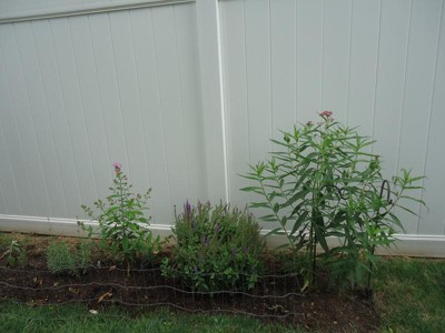 Guest review image 4 of 6, zoom in