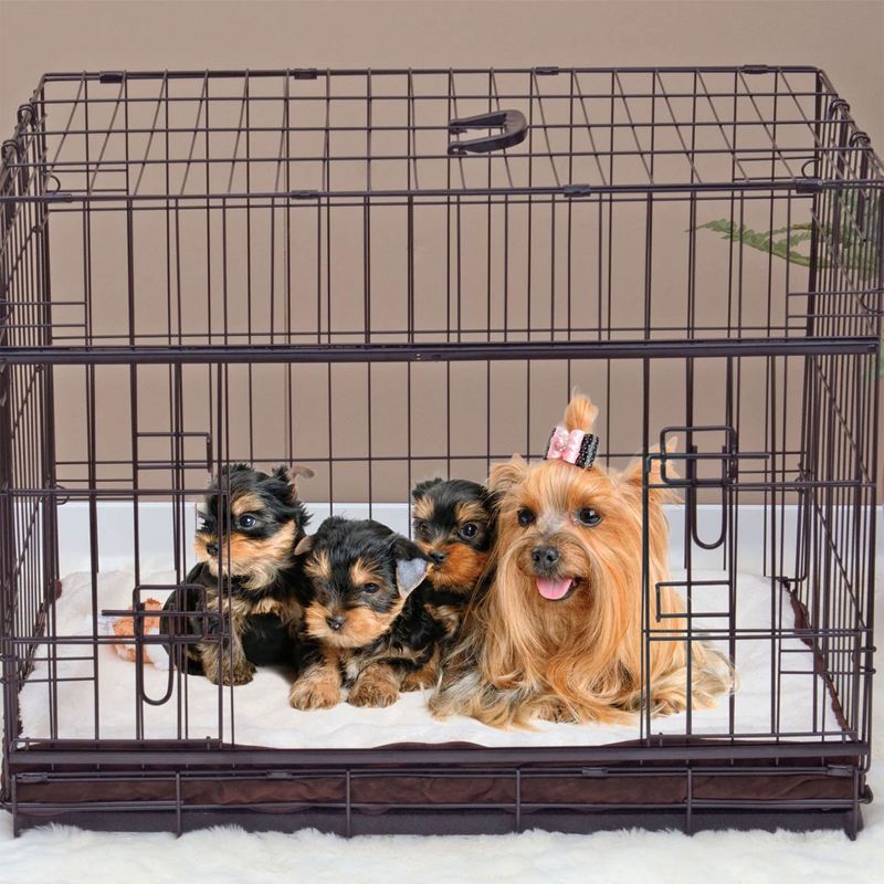 Lucky Dog Dwell Series 48 Inch Extra Large Lightweight Kennel Secure Fenced Pet Dog Crate w/Divider Panels, Sliding Doors, and Removable Tray, Black, 5 of 7