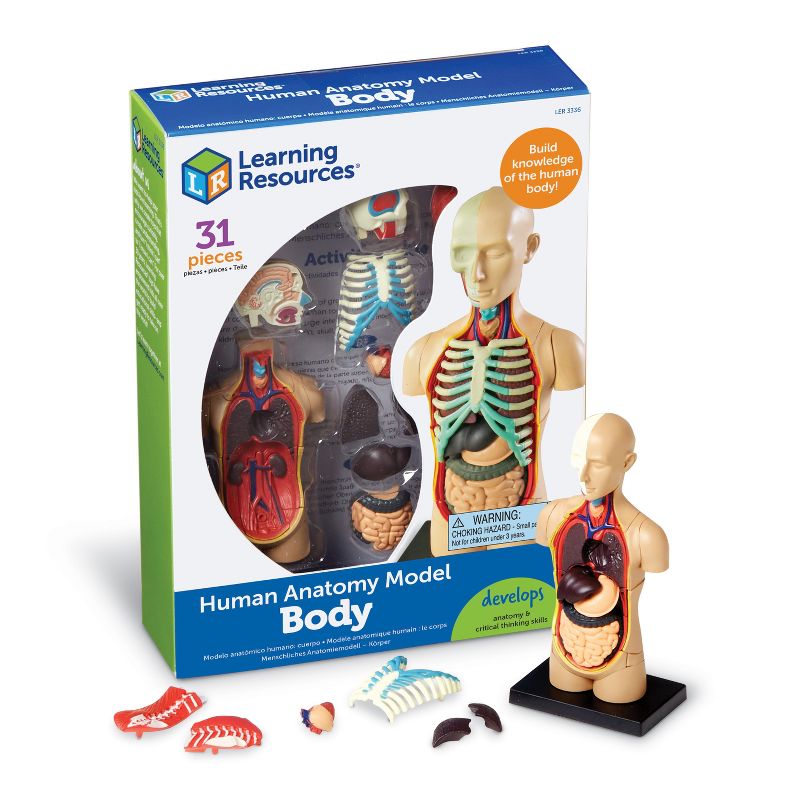 Learning Resources Human Body Anatomy Model, Ages 8+, 1 of 7