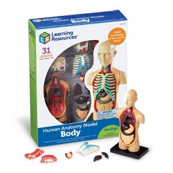 1 Set Human Body Anatomy Toy Preschool Educational Organ DIY Assembled Toys 