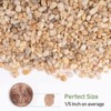 2.5lbs Rocks for Plants 1/5 Inch Pea Gravel for Fish Tank, Aquarium, Succulent, Terrarium - 2 of 4