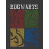 Harry Potter Hogwarts House Squares Boy's Charcoal Heather T-shirt - 2 of 3