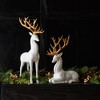 Melrose Modern Holiday Deer (Set of 2) - 2 of 4