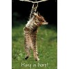 Trends International Famous Kitten Hang In There Poster Unframed Wall Poster Prints - 4 of 4