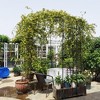 Metal Garden Arch Iron Garden Arbors Gazebo Dia81.3" x 114.2" High Birdcage Shape Pergola Pavilion for Wedding Ceremony Outdoor Black - 3 of 4