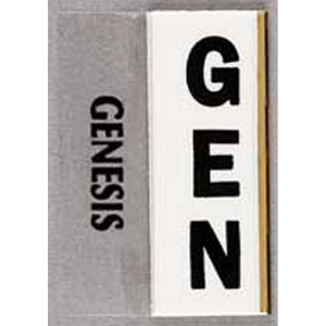 Large Print Old Testament and New Testament Bible Tabs - 1 of 1