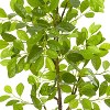 HomeStock  3.25 ft. Artificial Ficus Tree in Pot for Indoor/Outdoor - 4 of 4