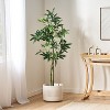 Gulches 63 Inch Artificial Lucky Money Tree Plants, Pre - Potted Plant, Ideal for Indoor Gardens, Living Rooms and Bedrooms - 2 of 4