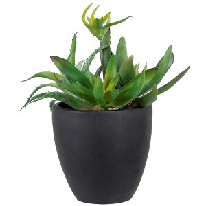 Northlight 11" Mixed Succulent Plant Artificial Potted Arrangement - Green/Black - 1 of 4