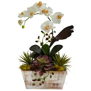 Nearly Natural Orchid & Succulent Garden with White Wash Planter - 1 of 2