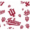 NCAA Indiana Hoosiers Tervis All Over Venture Water Bottle - 24oz: Flip-Top Lid - 2 of 4