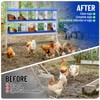 Chicken Nesting Box, Metal Nest Boxes for Chicken, Chicken Laying Box with Chicken Perch, Roll Away Nest Box for Chicken Coop - 4 of 4