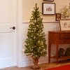 National Tree Company 5' Montclair Spruce Artificial Pencil Christmas Tree 100ct Clear - 2 of 3