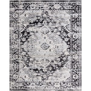 Madison MAD154 Non-Shedding Power Loomed Indoor Rugs - Safavieh - 1 of 4