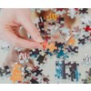 Toynk Queen Anne's Library of Horror Books 1000-Piece Jigsaw Puzzle | Toynk Exclusive - 4 of 4