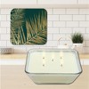 Courtside Market Jeweled Fronds Collection ~ Brown Sugar Vanilla 20 oz Soy Wax Candle with Decorative Art Lid - 2 of 3