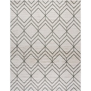 Adirondack ADR241 Non-Shedding Power Loomed Indoor Rugs - Safavieh - 1 of 4