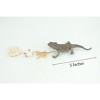 Collectible Wildlife Gifts | Bearded Dragon Life Cycle, 4 Piece Set, Hand Painted, Quality Rubber Reptile, Lizard, Toys, Gift, 5 Inches. CH991 BB215 - 3 of 4