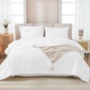 BAGOKIE 7 Pieces Tufted Bed in a Bag Comforter Set for All Season - 2 of 4