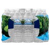 Ice Mountain Brand 100% Natural Spring Water - 24pk/16.9 fl oz Bottles - image 4 of 4