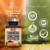 Turmeric Curcumin BioPerine 95% Standardized Curcuminoids 1500mg - Black Pepper Extract Max Absorption, Herbal Turmeric Pills, Vegan - 120 Softgels - 2 of 4