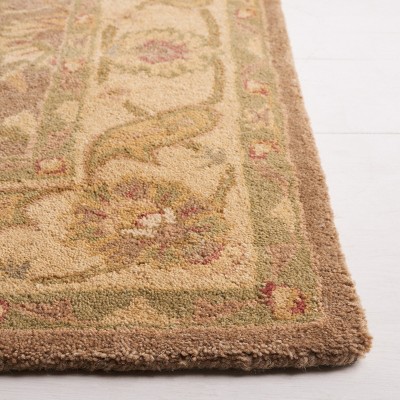 Antiquity Brown and Gold Tufted Wool Area Rug