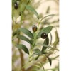 Kazeila Faux Plant, 10FT Detachable Pole Olive Tree in Wicker/Rattan Basket，for Outdoor Courtyard, Garden Entrance, etc. - 3 of 4