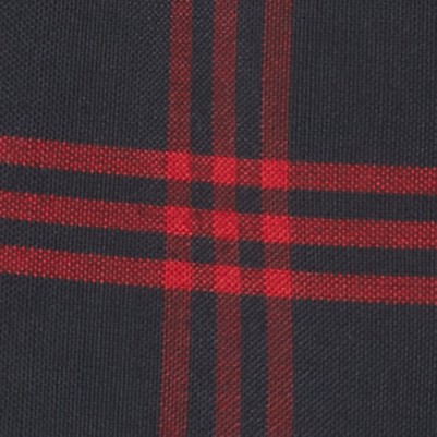 navy red plaid