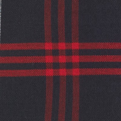 navy red plaid