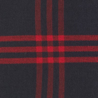 navy red plaid