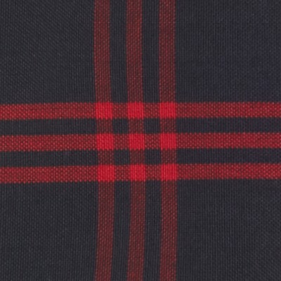 navy red plaid
