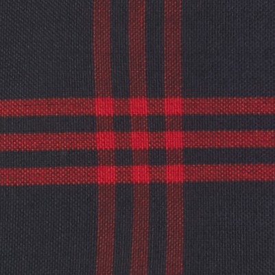 navy red plaid