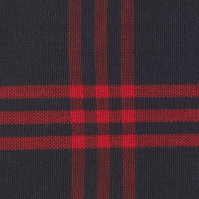 navy red plaid