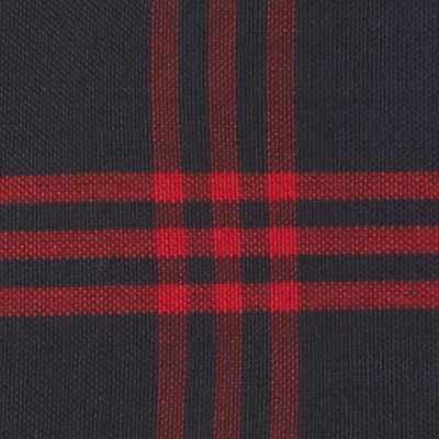 navy red plaid