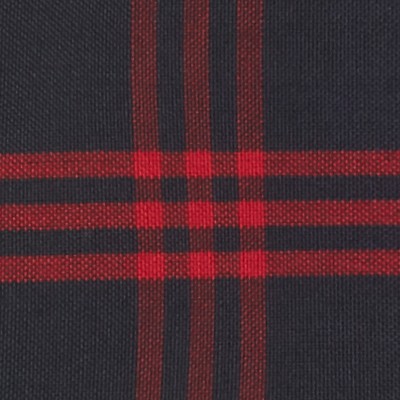 navy red plaid