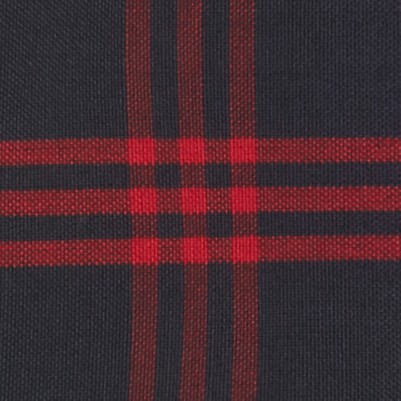 navy red plaid