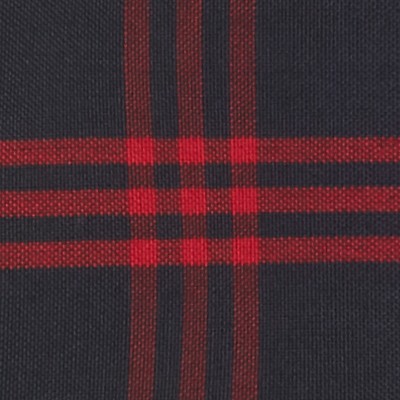 navy red plaid