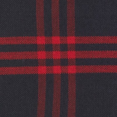 navy red plaid