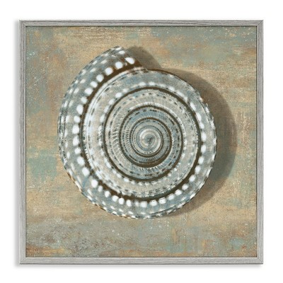 Stupell Industries Spiral Shell Beach Objects Design, 12" x 12"