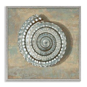Stupell Industries Spiral Shell Beach Objects Design, 12" x 12" - 1 of 4