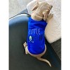 Parisian Pet 'Little Monster' Embroidered Dog & Cat Shirt - Funny Pet Apparel, Blue - 4 of 4
